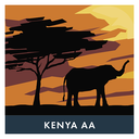 BVH - Kenya AA Noir 1kg Plateau - Grains (9 unités)