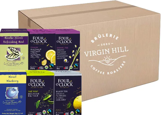 Assortiment de thé essentiels - (101 unités)