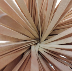 Bâtonnets  en bois 7" - (1000 unités)