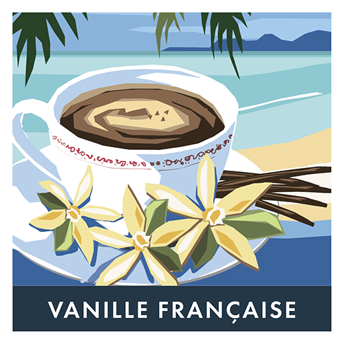 [70VFF] BVH Vanille Française 70g - Sachet (60 unités)