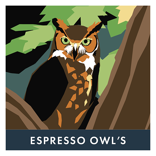 [R2.27EOwG6] BVH Espresso Owl's 2.27kg - Grains (6 unités)