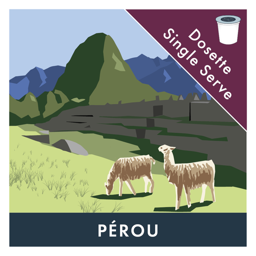 [25PerN] BVH Pérou Noir 8g - Keurig (5x25 unités)