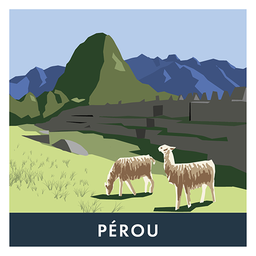 [233PerNF] BVH Pérou Noir 233g - Sachet (20 unités)