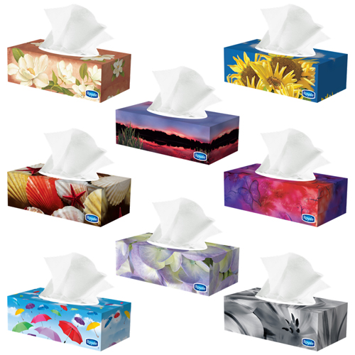 [4995050] Mouchoir Papier 100 feuilles Royale - 2 Plis (48 unités)