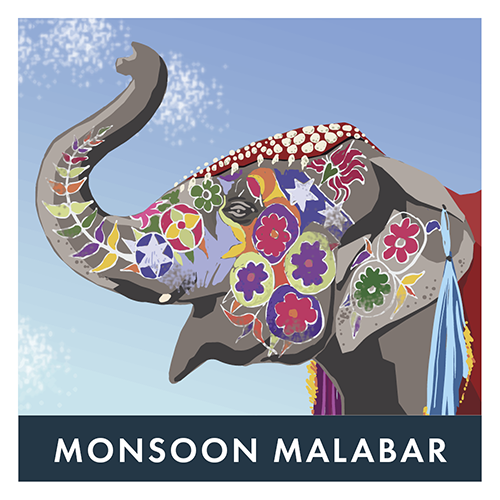 [R1MMG9] BVH Monsoon Malabar 1kg Plateau - Grains (9 unités)