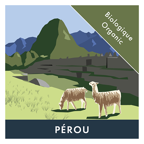 [B2.27PerNM1] BVH Biologique Pérou Noir 2.27kg - Moulu (1 unité)